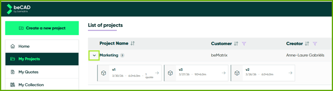 How to see which projects have multiple versions